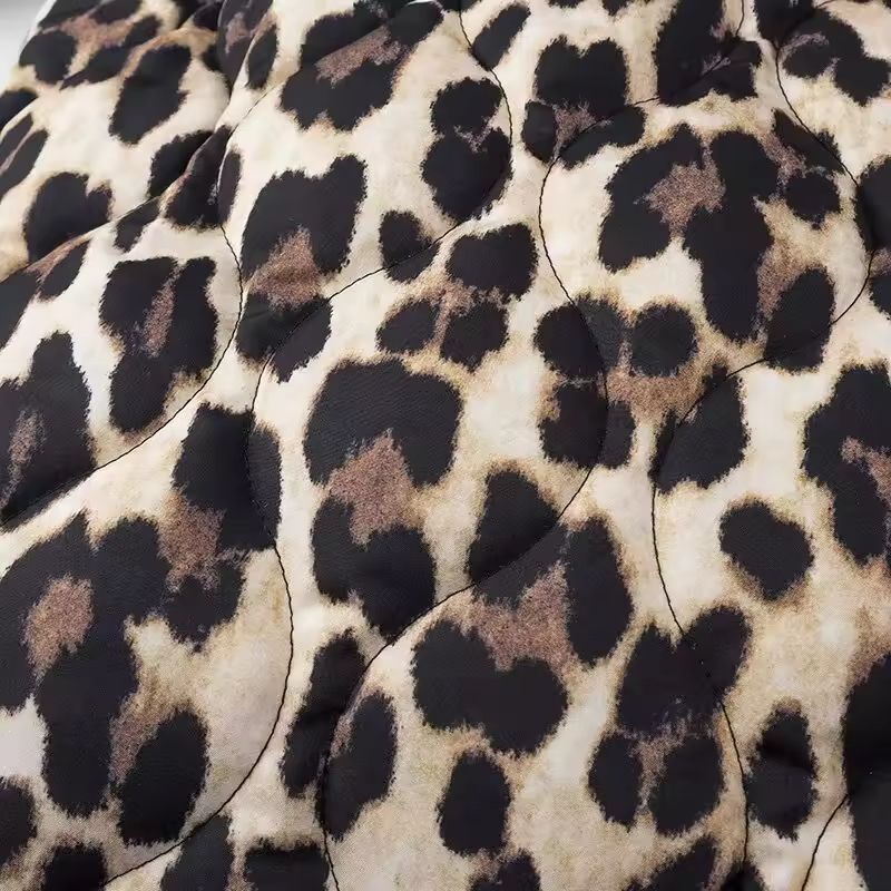 Wild Essence Sahara coat – stylish women’s fall leopard print jacket