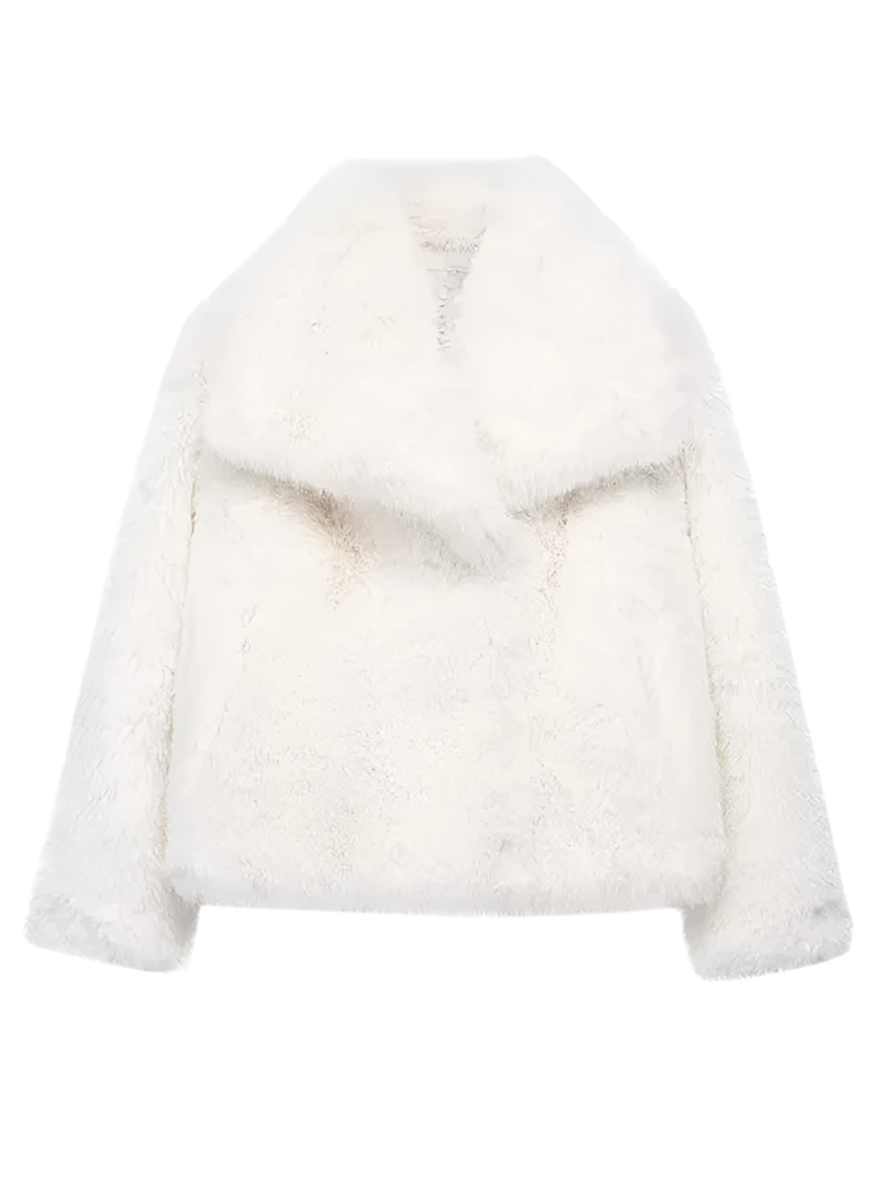 Fashionable winter jacket with faux fur collar displayed outdoors