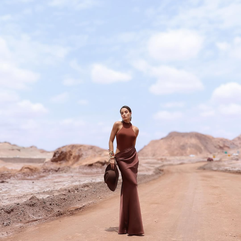Lara Elegant off-shoulder long dress in brown with a flowing plisse silhouette and feminine ruffle hem.